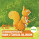 Couverture Robin l'écureuil du jardin ()