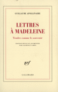 Couverture Lettres à Madeleine/Tendre comme le souvenir ()