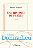 Couverture Une histoire de France ()