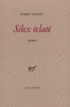 Couverture Silex éclaté (Robert Mallet)