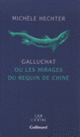 Couverture Galluchat ou Les mirages du requin de Chine (Michèle Hechter)