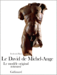 Couverture Le David de Michel-Ange ()