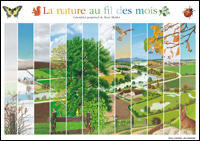 Calendrier perpétuel de la nature au fil des mois