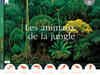 Les animaux de la jungle