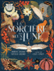 Couverture La sorcière aux yeux de lune (Myriam Dahman,Nicolas Digard)