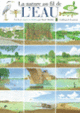 Couverture La nature au fil de l'eau (René Mettler)