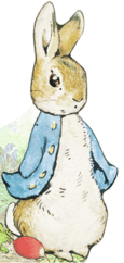 Couverture Bonjour, Pierre Lapin! ()