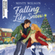 Couverture Falling like Snow cd ()