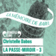 Couverture La Passe-miroir ()