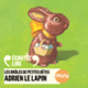 Couverture Adrien le lapin (Antoon Krings)