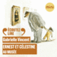 Couverture Ernest et Célestine au musée (Gabrielle Vincent)