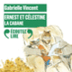 Couverture Ernest et Célestine – La cabane (Gabrielle Vincent)
