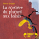Couverture La sorcière du placard aux balais (Pierre Gripari)