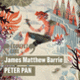 Couverture Peter Pan (James Matthew Barrie)