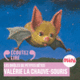 Couverture Valérie la chauve-souris (Antoon Krings)