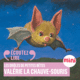 Couverture Valérie la chauve-souris ()