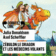 Couverture Zébulon le dragon et les médecins volants (Julia Donaldson)