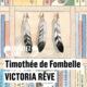 Couverture Victoria rêve ()