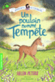 Couverture Un poulain nommé Tempête (Helen Peters)