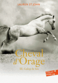 Couverture Cheval d'Orage ()