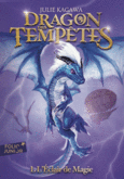 Couverture Dragon des tempêtes ()