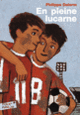 Couverture En pleine lucarne (Philippe Delerm)