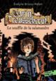 Couverture Le souffle de la salamandre (Évelyne Brisou-Pellen)