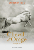 Couverture Cheval d'Orage ()