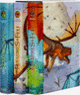 Couverture Les Royaumes de Feu (Tui T. Sutherland)