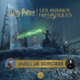 Couverture Duels de sorciers (Collectif(s) Collectif(s))