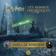 Couverture Duels de sorciers ()