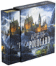 Couverture Le grand livre pop-up de Poudlard (Matthew Reinhart)
