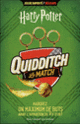 Couverture Quidditch - Le match (Collectif(s) Collectif(s))