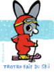 Couverture Trotro fait du ski (Bénédicte Guettier)