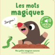 Couverture Les mots magiques ()