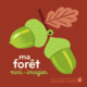 Couverture Ma forêt (Elsa Fouquier)