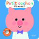 Couverture Petit cochon, où es-tu ? (Ekaterina Trukhan)