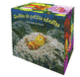 Couverture Mini-bibliothèque Les drôles de petites abeilles (Antoon Krings)