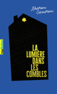 Couverture La lumière dans les combles ()