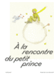 Couverture À la rencontre du petit prince (Collectif(s) Collectif(s))