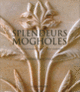 Couverture Splendeurs mogholes (George Michell)