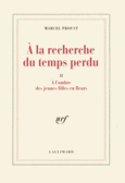 Couverture À l'ombre des jeunes filles en fleurs ()
