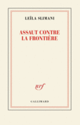 Couverture Assaut contre la frontière ()