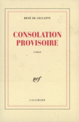 Couverture Consolation provisoire ()