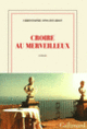 Couverture Croire au merveilleux (Christophe Ono-dit-Biot)