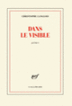 Couverture Dans le visible (Christophe Langlois)
