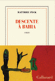 Couverture Descente à Bahia (Matthieu Peck)