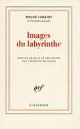 Couverture Images du labyrinthe ()