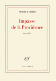 Couverture Impasse de la Providence/Jours de fête ()
