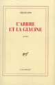 Couverture L'arbre et la glycine (Céline Zins)